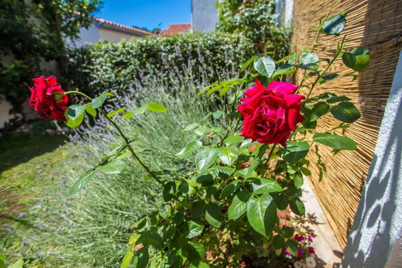 Apartment Rosse Porec Croatia