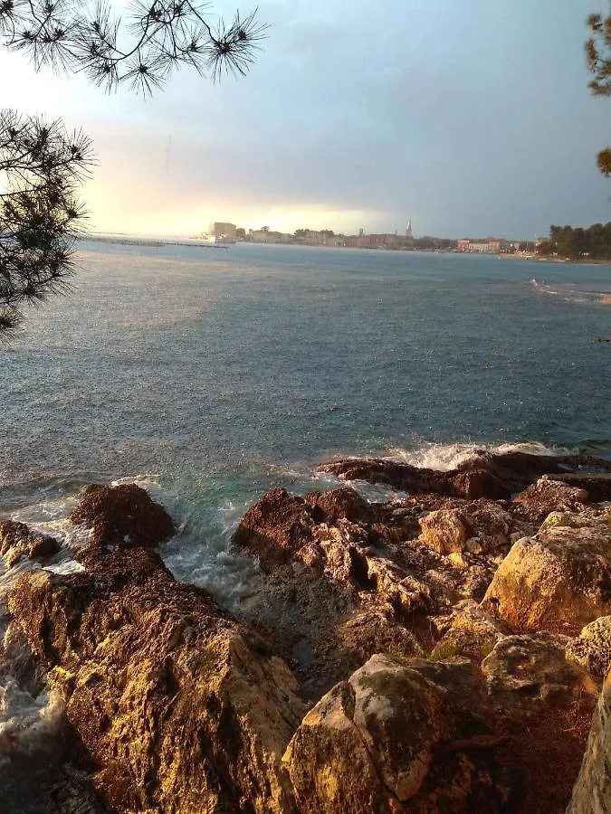 Apartment Rosse Porec